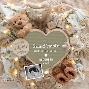 Grand Finale Pregnancy Announcement Digital, Last Baby Announcement Digital, 3rd 4th Child Editable Template, Instant Download, Spring Bear