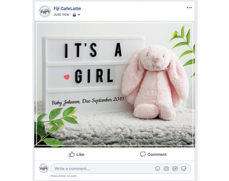Digital Personalized Rustic Style Baby Girl Lightbox Gender Reveal Social Media Custom Girl Pregnancy Announcement Idea Facebook Instagram