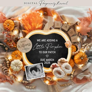 Anuncio digital de embarazo de otoño, anuncio digital de bebé de otoño en redes sociales, plantilla editable de revelación de bebé neutral, Little Pumpkin