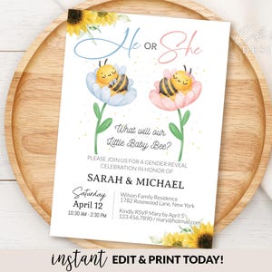 Plantilla editable para invitación de revelación de género, invitación electrónica para fiesta de revelación de género de bebé, invitación digital rosa y azul para primavera y verano.