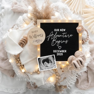 Digital Pregnancy Announcement Template, Baby Announcement Digital, Neutral Boho Pregnancy Reveal, Editable Template, Instant Download, DIY