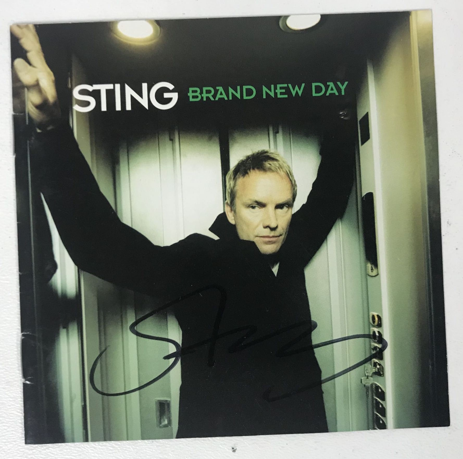 Brand New Day Raglan - Sting Official Store