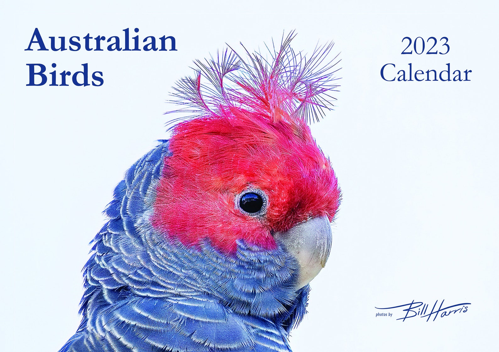 Annual Calendar Australian Birds 2023 A5 Etsy