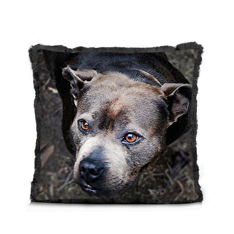 Pet Photo Pillow Australia Custom Photo Pillow Pet Photos Etsy