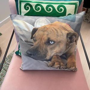 High Quality Luxury Pet Photo Cushions Australia, best custom photo pillow, personalised pillow picture, pet loss, unique pet memorial gifts