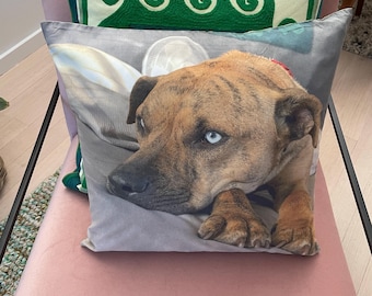 Custom Pet Photo Pillow: Luxury Memorial Keepsake Cushion