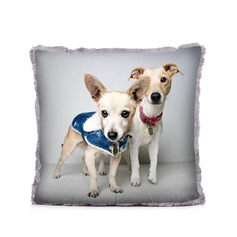Pet Photo Pillow Australia Custom Photo Pillow Pet Photos Etsy