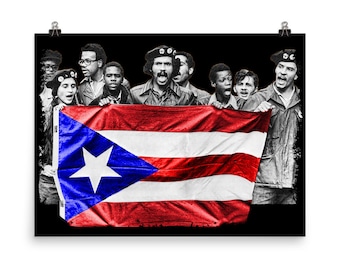 Young Lords Poster