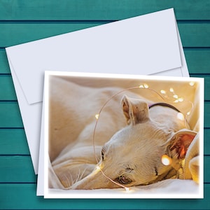 Twinkle Lights Greyhound Oil Painting A2 Notecards - Set of 12