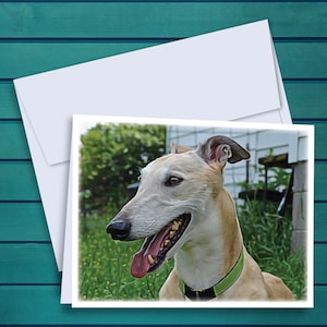 Greyhound Sam Oil Painting A2 Notecards - Set of 12