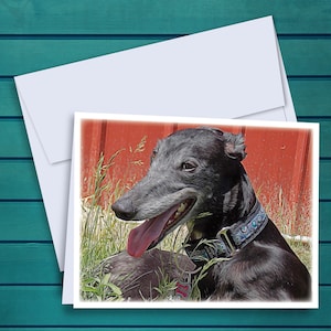 Greyhound Salena Oil Painting A2 Notecards - Set of 12