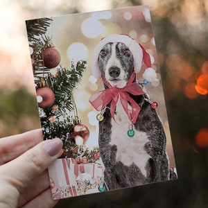 Printable Greyhound Holiday Greeting Cards | Holiday Hound Painting Christmas Cards