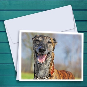 Greyhound &quot;Cheese&quot; Oil Painting Notecards - Set of 12 Cards and Envelopes