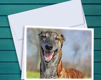 Greyhound "Cheese" Oil Painting Notecards - Set of 12 Cards and Envelopes
