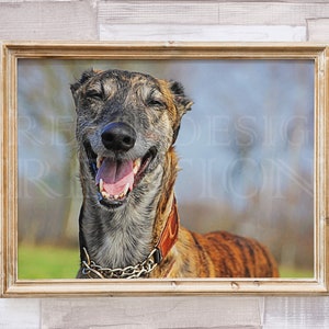 Greyhound Wall Art | Dog Lover Print