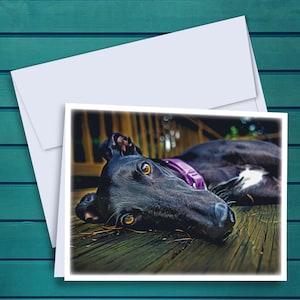 Greyhound Lounging Oil Painting A2 Notecards - Set of 12