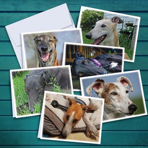 Greyhound Oil Paintings A2 Notecards - Set of 12 with Envelopes