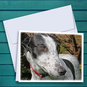 White & Black Cowdog Greyhound Oil Painting A2 Notecards - Set of 12