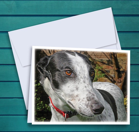 White Black Cowdog Greyhound Oil Painting A2 Notecards Set of