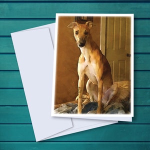 Elfie the Greyhound Watercolor A2 Notecards - Set of 12