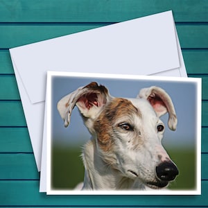White Brindle Cowdog Greyhound Oil Painting A2 Notecards - Set of 12