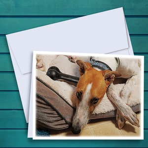 Greyhound Hunny Oil Painting A2 Notecards - Set of 12