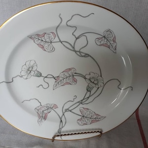 Couple of large oval serving plates Royal Worcester Gloriana. England