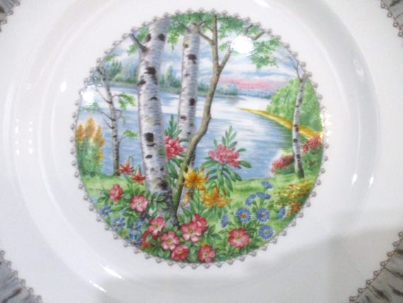 Vintage Royal Albert Silver Birch Dinnerware Set. Bone China