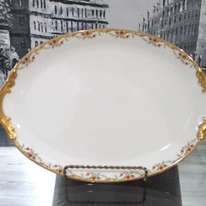 Vintage Limoges Serving Plate. France