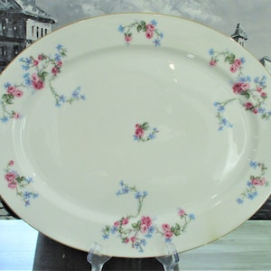 Vintage Limoges Big Oval Serving Dish/Plate. Limoges. France