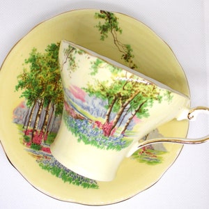 Vintage Corset Aynsley teacup and Saucer. Bone China. England