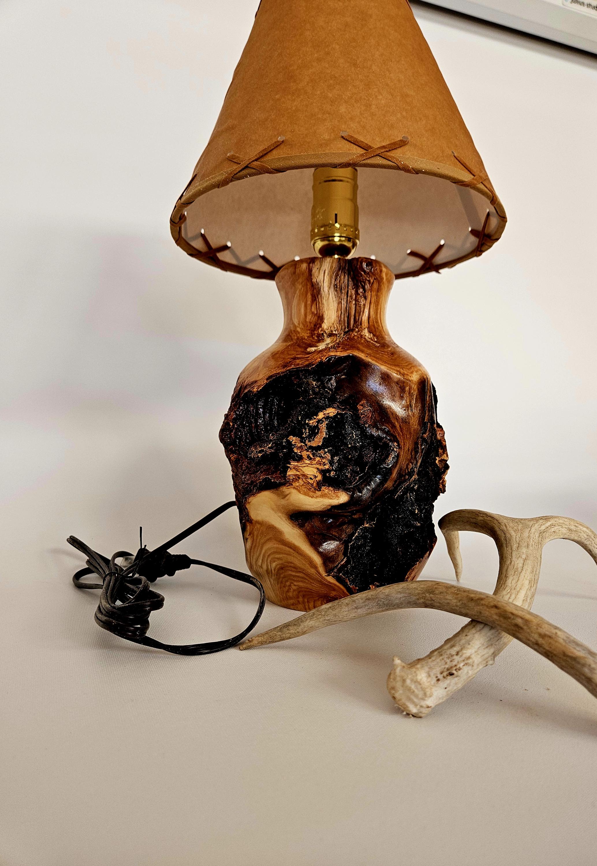 Rustic bedside lamp. Small table top lamp turned from aspen wood. Colorado made.
