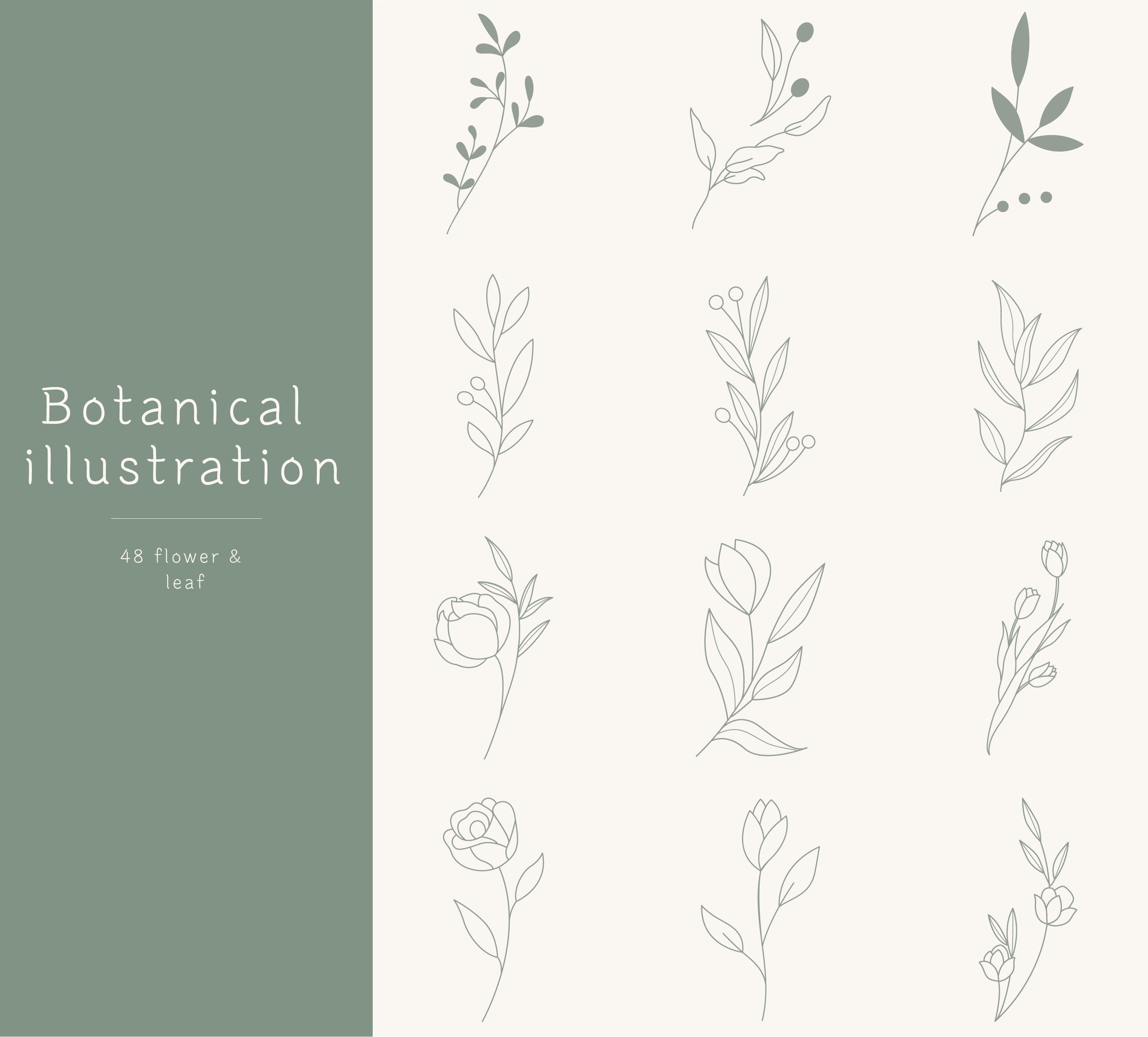 48 Botanical Illustration Bundle | Flower Illustration Svg | Floral Svg ...