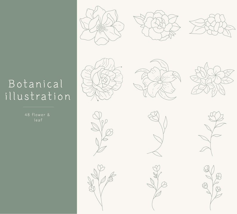 48 Botanical Illustration Bundle | Flower Illustration Svg | Floral Svg ...