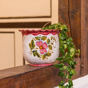 Può includere: Vaso di fiori in ceramica decorativo con sfondo bianco maculato, bordo rosso e design floreale. Il fiore è rosa con foglie gialle e verdi. Una pianta verde con piccole foglie scende lungo il lato del vaso.