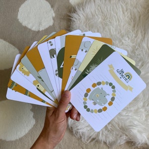 Cartes étape bébé savane