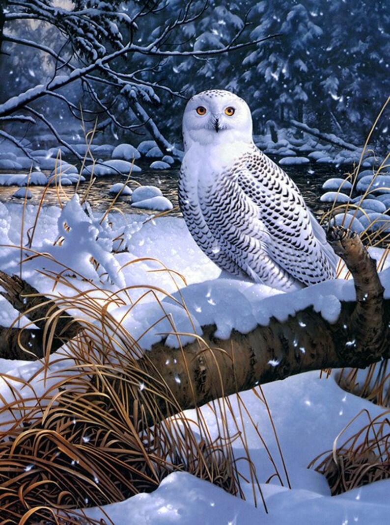 Full round/square drill 5D diamond painting owl in the snow | Etsy
