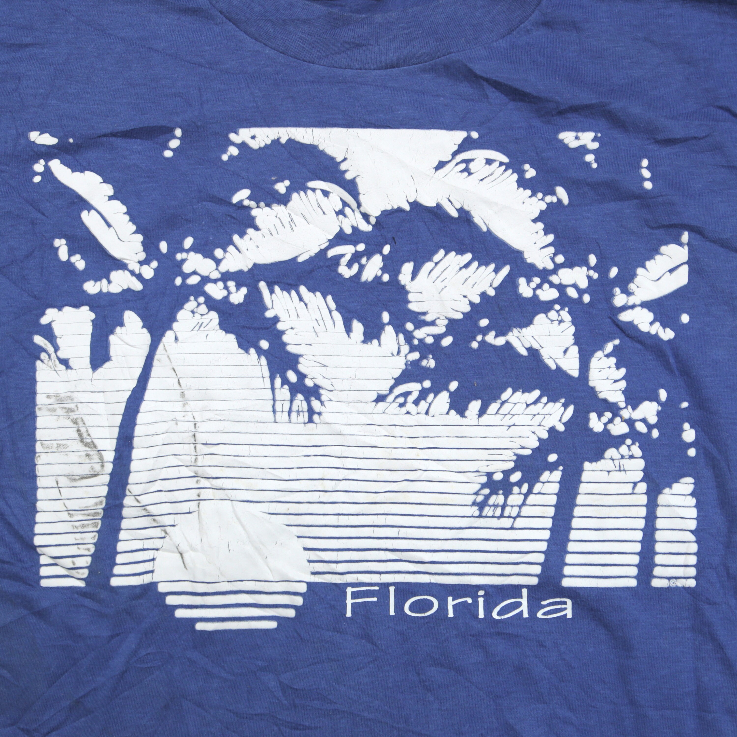 Vintage 80's FLORIDA Beach Sunset Tourist Attraction Tee | Etsy