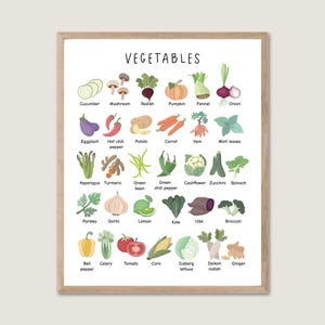 Póster educativo de verduras, póster de aprendizaje, póster Montessori para guardería, decoración del aula, verduras de arcoíris, póster educativo para la educación en el hogar