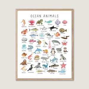 Póster de animales del océano, pósteres educativos Montessori, decoración de pared para guardería, decoración de sala de juegos, materiales Montessori, DESCARGA DIGITAL, preescolar