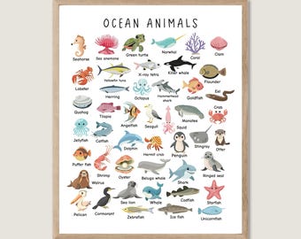 May include: A colourful educational chart featuring illustrations of various ocean animals, including a seahorse, sea anemone, green turtle, narwhal, coral, clam, lobster, yellowfin tuna, x-ray tetra, killer whale, flounder, herring, quahog, tilapia, hammerhead shark, octopus, eel, goldfish, angelfish, seagull, manatee, squid, jellyfish, catfish, dolphin, hermit crab, puffer fish, shrimp, oyster, walrus, sea lion, pelican, cormorant, beluga whale, zebrafish, penguin, stingray, shark, crab, otter, ringed seal, whale, codfish, starfish, ice fish, and unicornfish. The chart is titled "Ocean Animals".