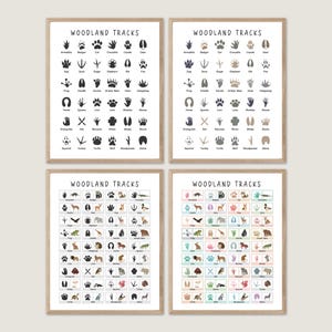 Animal Tracks Print, Forest field guide print, Woodland Nursery, Woodland Art Print, Woodland Animal Prints Poster, Woodland Nursery Decor
