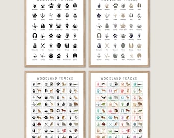 Animal Tracks Field Guide Print, Woodland Nursery Art (Digital Download)