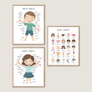 Body Parts Poster, My Body Educational Posters, Kids Wall Decor, My Body Printable Wall Art, Anatomy Poster, Body Parts Print