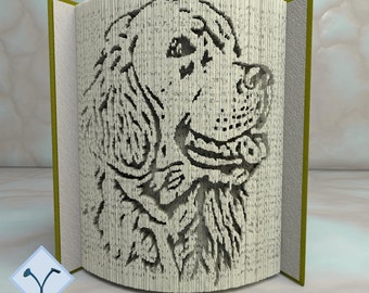 Dog Labrador Retriever: Book Folding Pattern, Instruction DIY folded book art, cut and fold books & only cut + free patterns + free texture