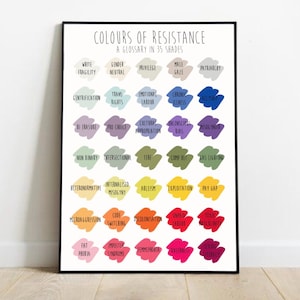 May include: A framed poster titled "COLOURS OF RESISTANCE" with a glossary of 35 shades. The poster features colorful text blocks with terms like "White Fragility," "Gender Neutral," and "Patriarchy."