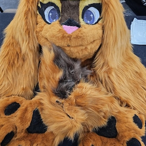 Cute bunny fursuit