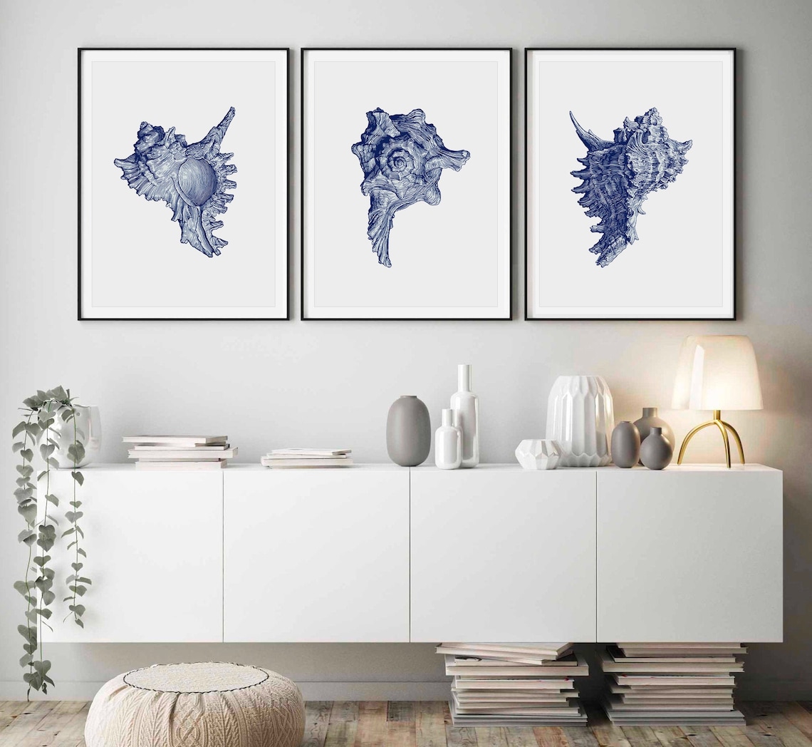 Set of 3 Prints Hampton Style Wall Art Coastal Sea Shell Etsy