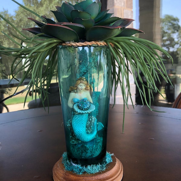 Mermaid Tail Succulent Etsy