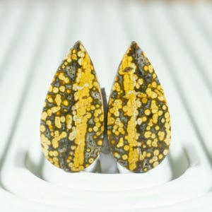 Premium Indonesian Frog Egg Jasper Pair | River Jasper Cabochons for Artisan Jewelry | Quality Selection
